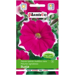 Petunia-seria-Iuzja-różowa-0,05g-ST/PL